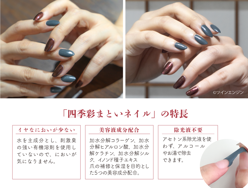 劇場版モノノ怪×四季彩まといネイル特装箱